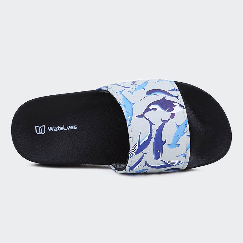 KIDS SLIDE SANDALS JB504-Shark groups - Watelves.com